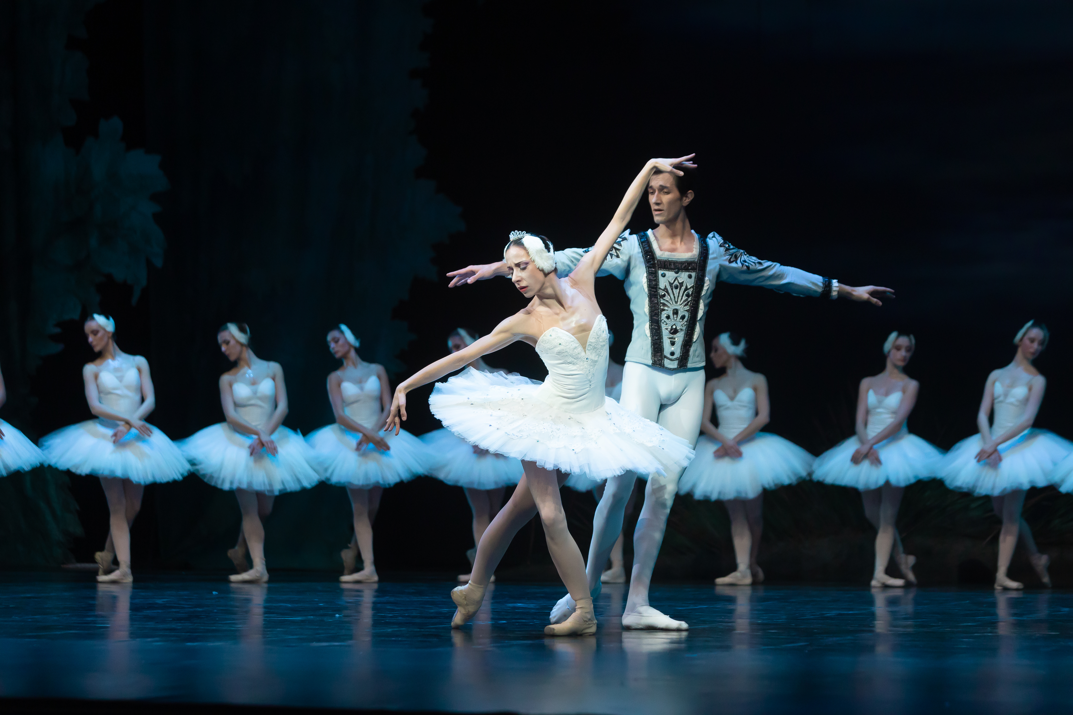 SWAN LAKE