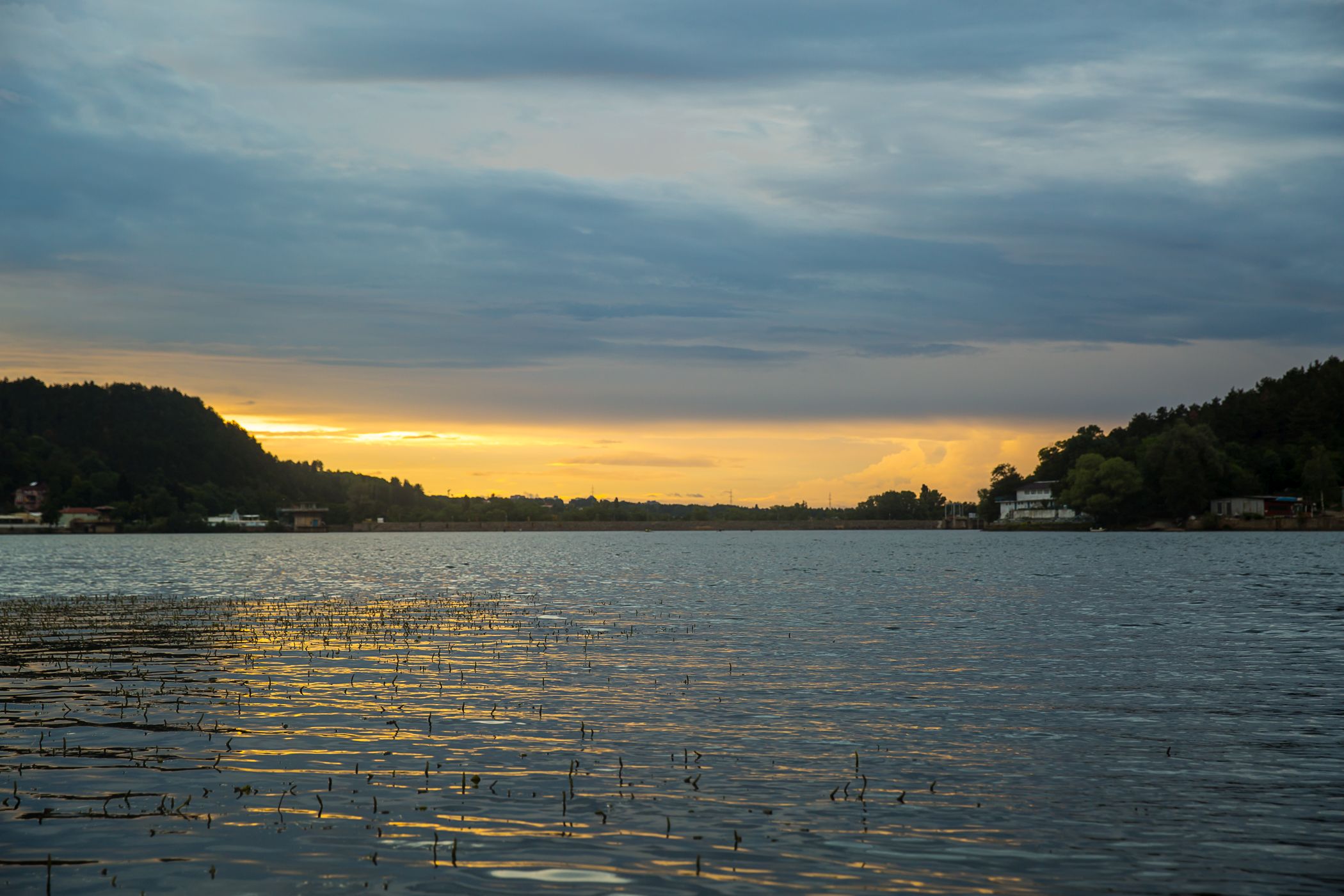 Photo: Светослав Николов-Чапи