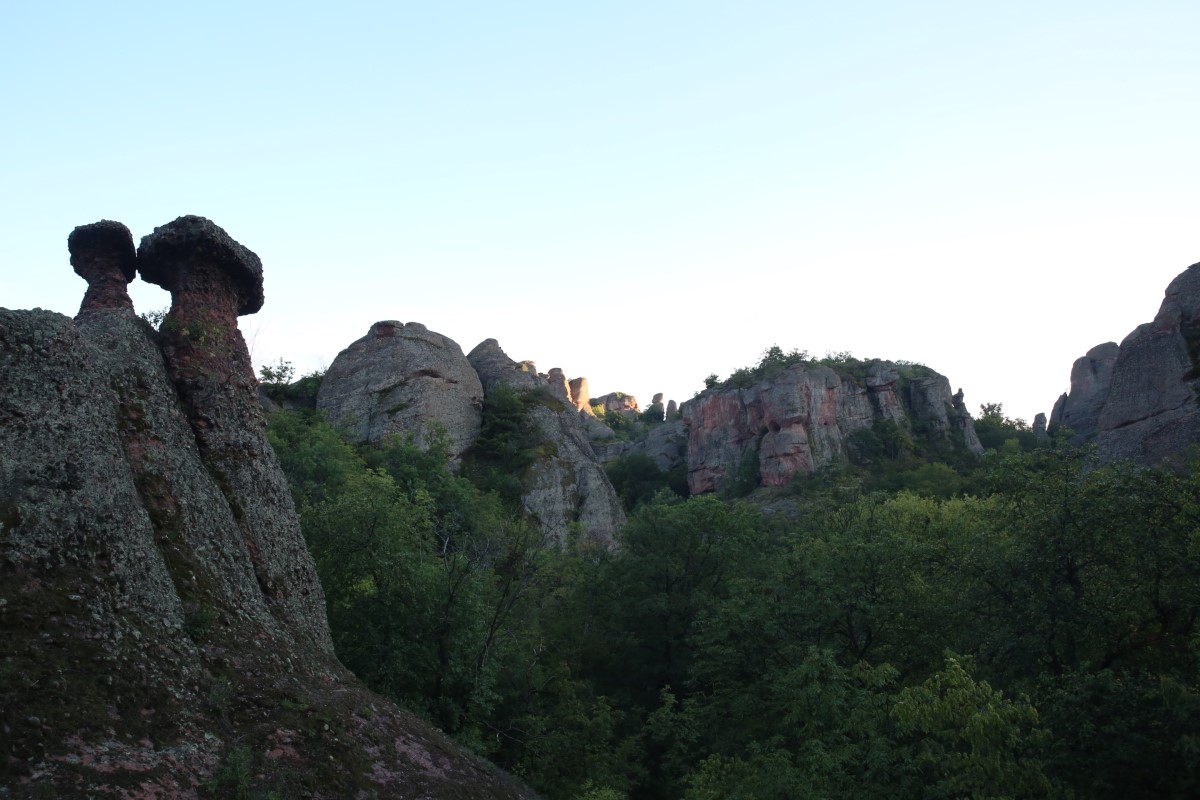 Photo: Светослав Николов - Svetoslav Nikolov