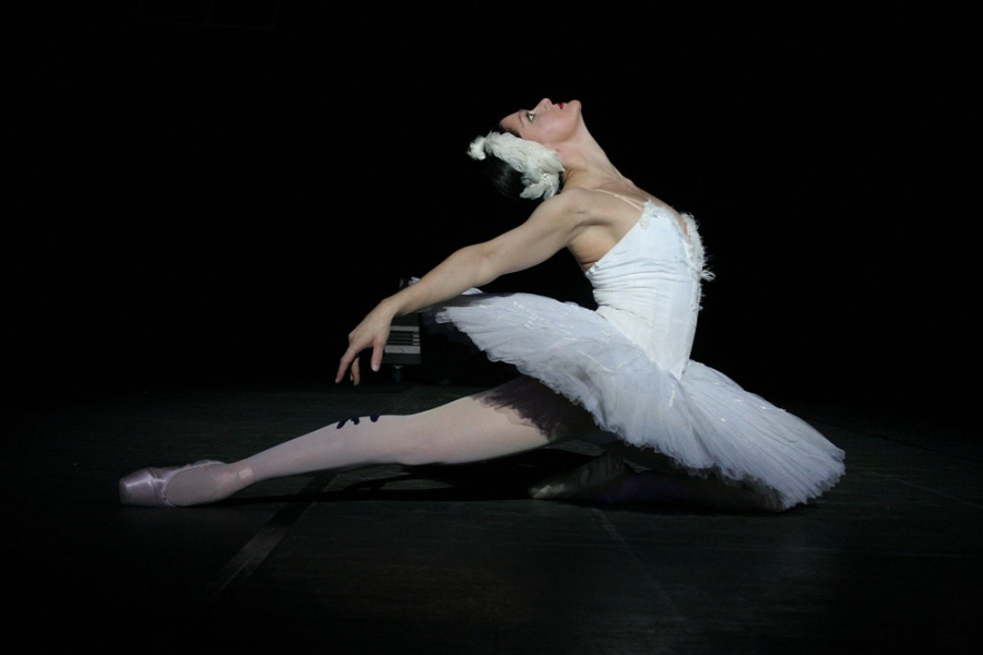 The ballet “Sleeping Beauty” is romance and in it everything is possible