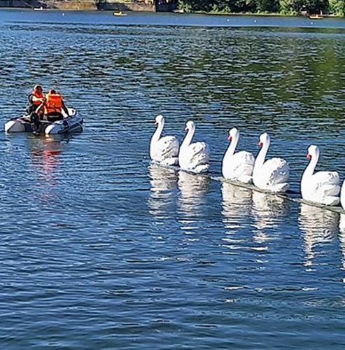 Осем спасители с необичайна роля в “Лебедово езеро”