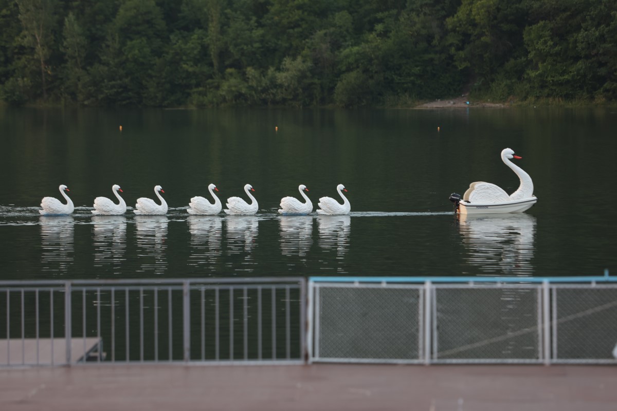 Снимка: „ЛЕБЕДОВО ЕЗЕРО“ от Пьотър Илич Чайковски