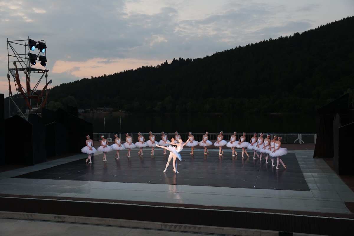 Снимка: „ЛЕБЕДОВО ЕЗЕРО“ от Пьотър Илич Чайковски