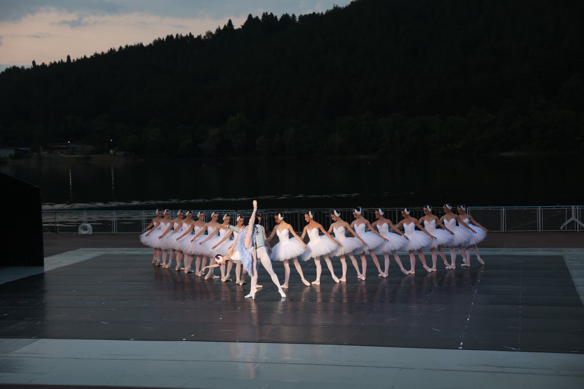 Снимка: „ЛЕБЕДОВО ЕЗЕРО“ от Пьотър Илич Чайковски