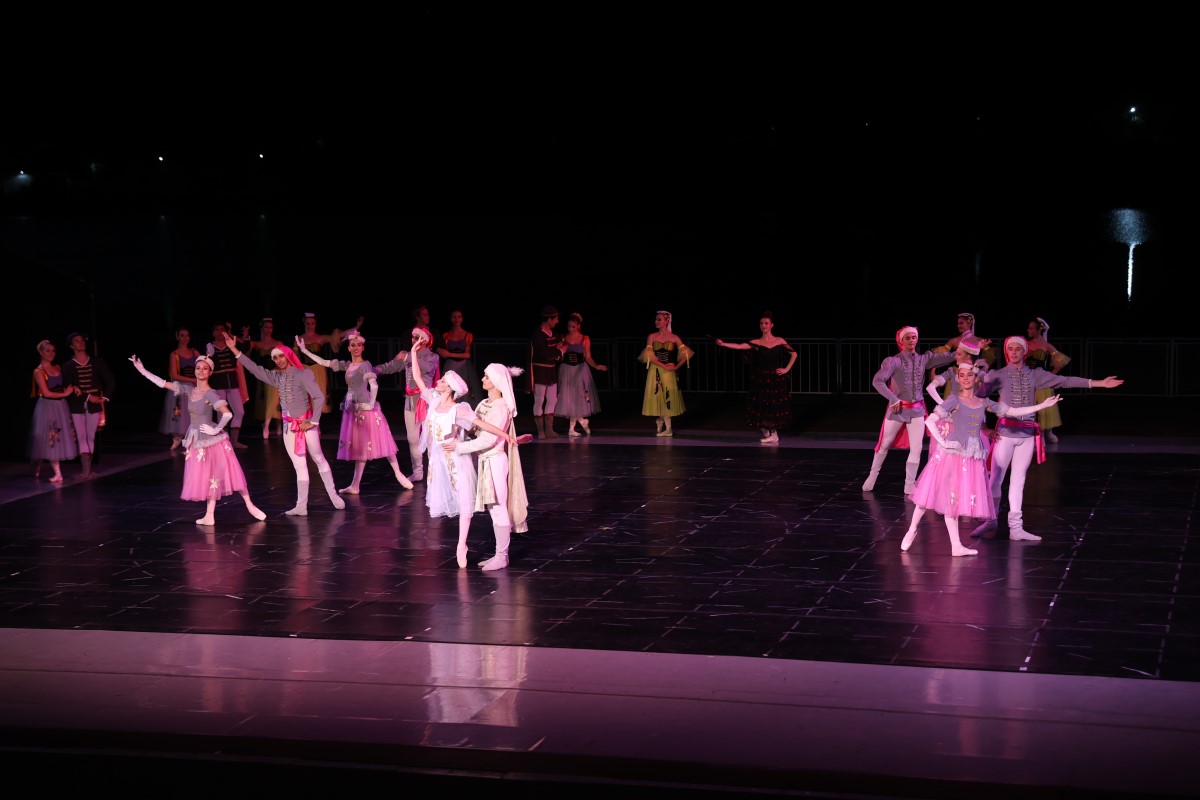 Снимка: „ЛЕБЕДОВО ЕЗЕРО“ от Пьотър Илич Чайковски