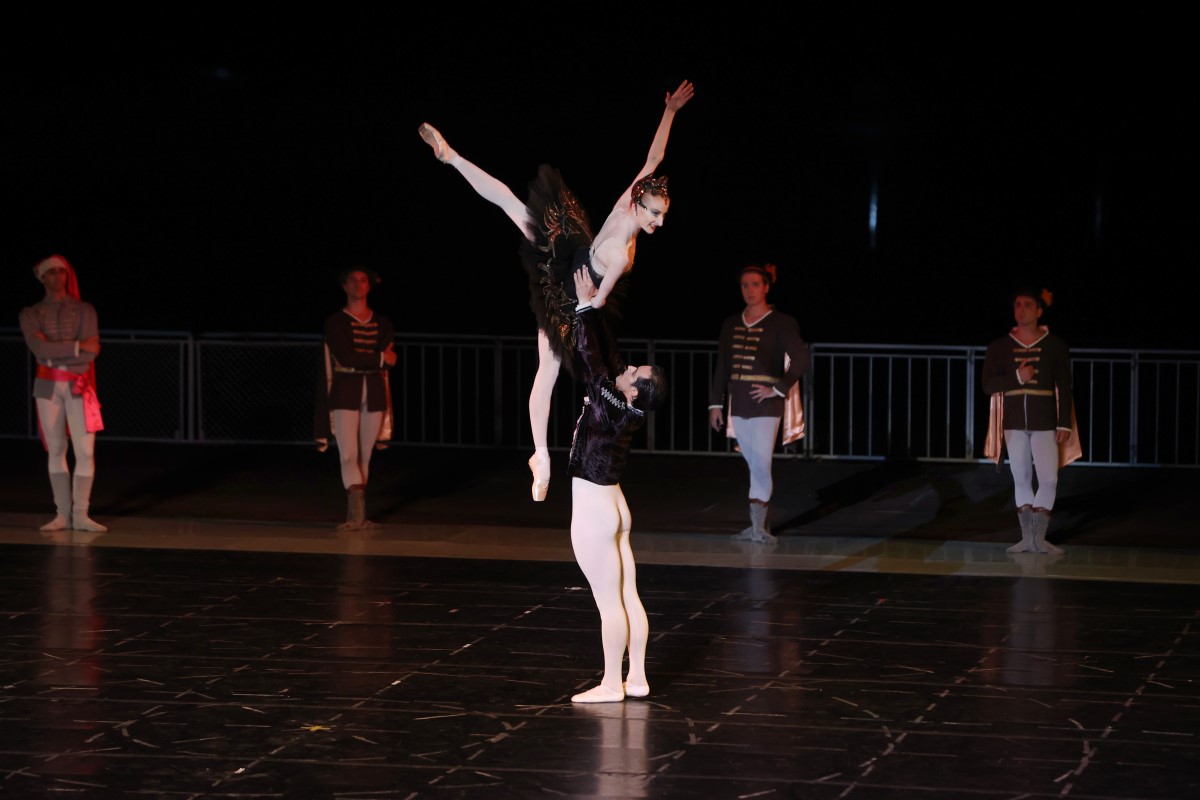 Снимка: „ЛЕБЕДОВО ЕЗЕРО“ от Пьотър Илич Чайковски