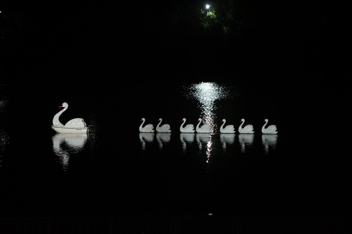 Снимка: „ЛЕБЕДОВО ЕЗЕРО“ от Пьотър Илич Чайковски