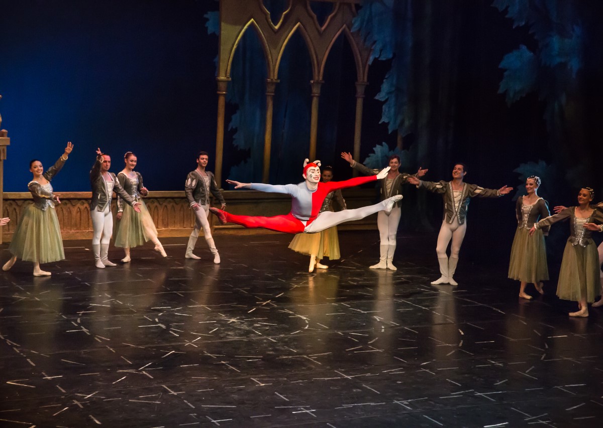 Photo: ЛЕБЕДОВО ЕЗЕРО / SWAN LAKE / Снимки Светослав Николов