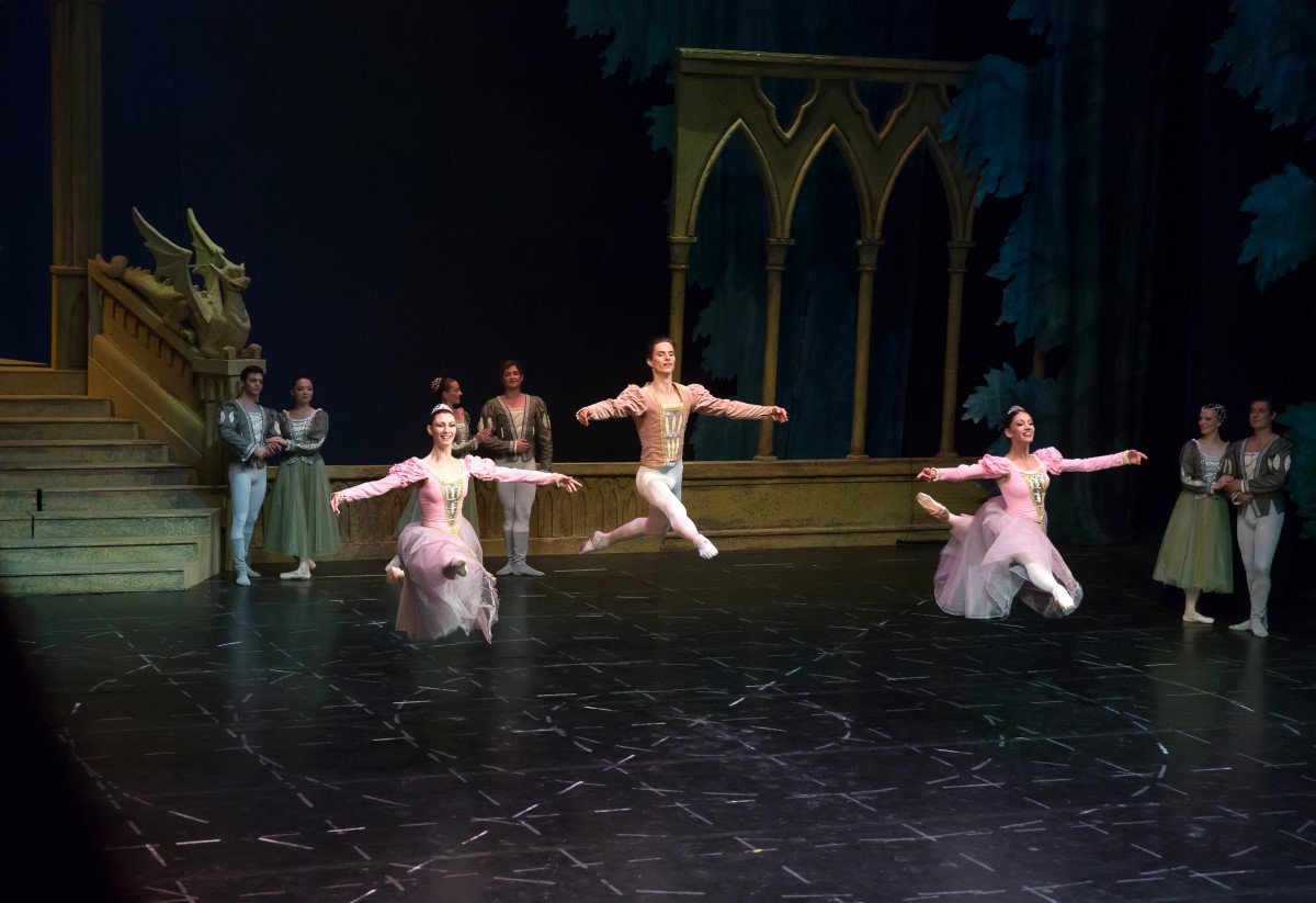 Photo: ЛЕБЕДОВО ЕЗЕРО / SWAN LAKE / Снимки Светослав Николов
