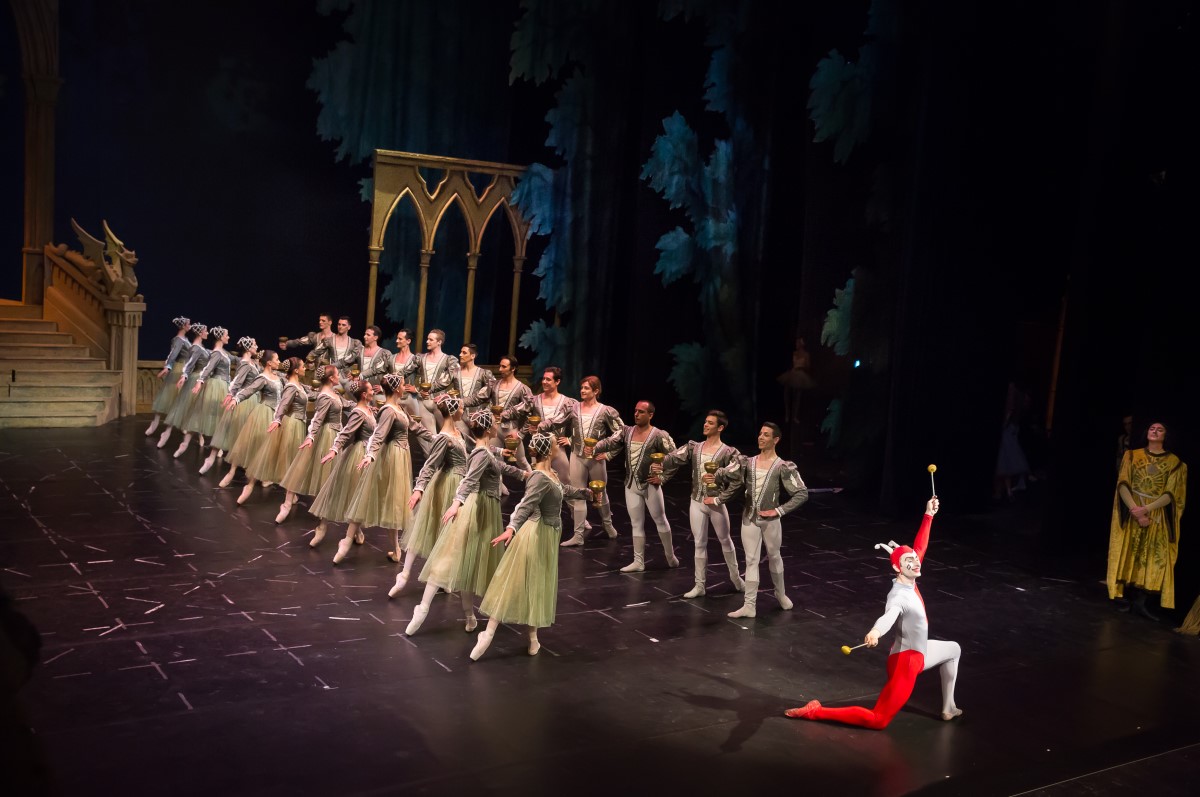 Photo: ЛЕБЕДОВО ЕЗЕРО / SWAN LAKE / Снимки Светослав Николов