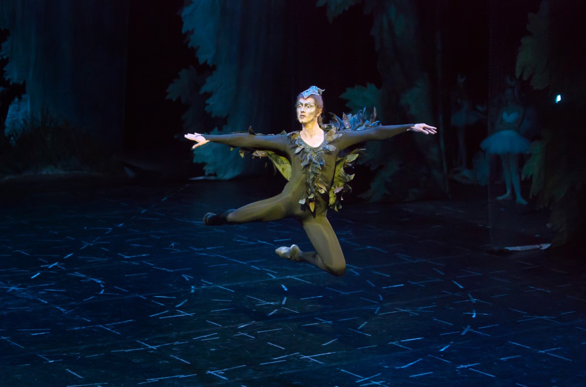 Photo: ЛЕБЕДОВО ЕЗЕРО / SWAN LAKE / Снимки Светослав Николов