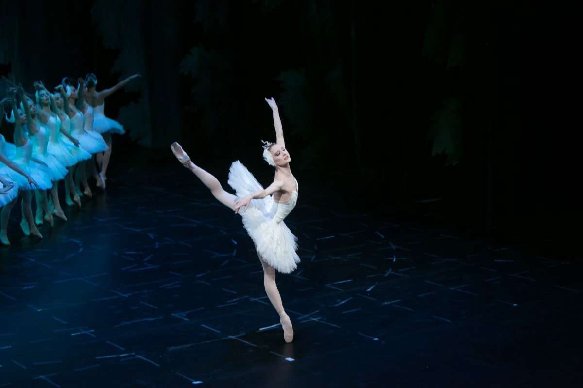 Photo: ЛЕБЕДОВО ЕЗЕРО / SWAN LAKE / Снимки Светослав Николов
