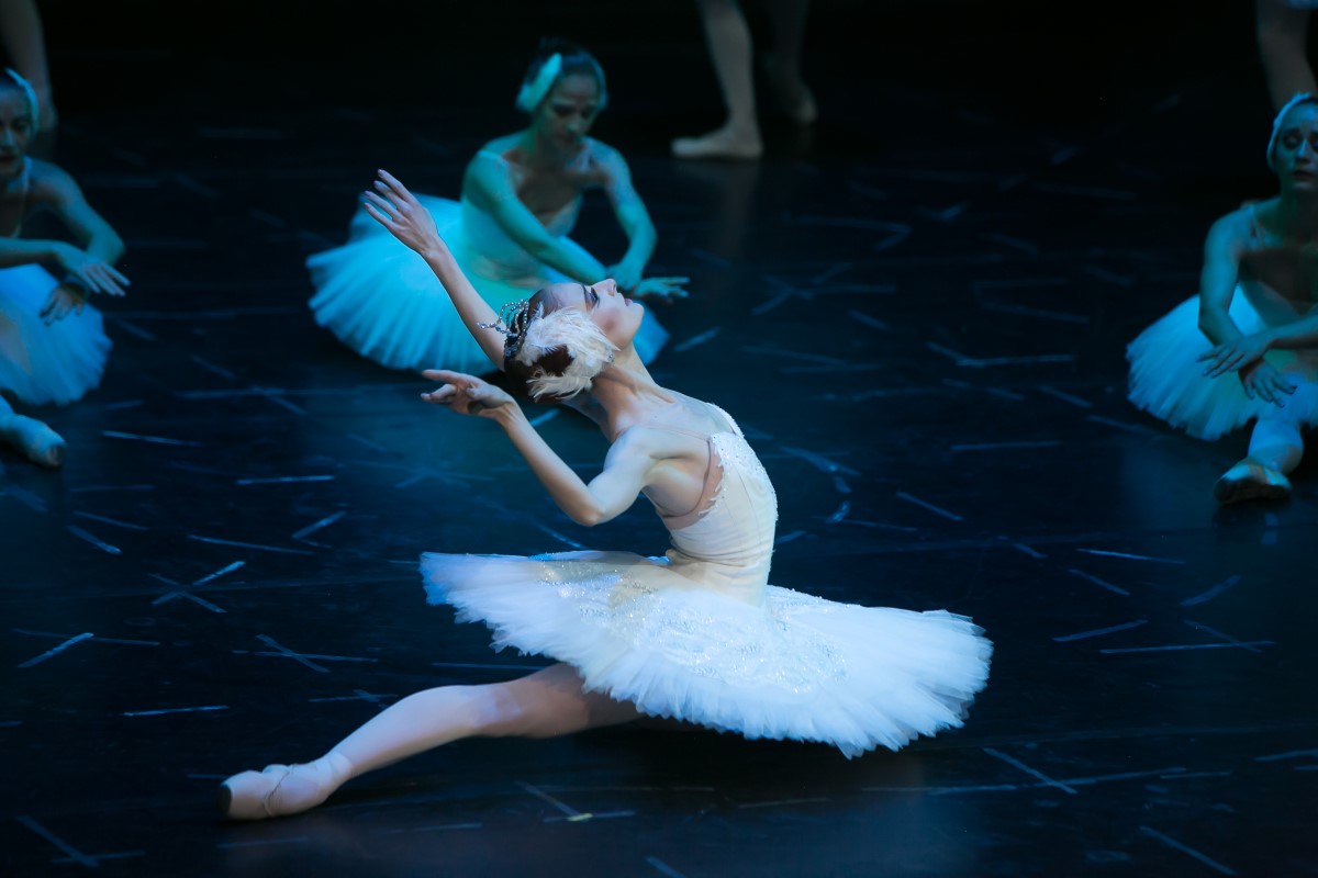 Photo: ЛЕБЕДОВО ЕЗЕРО / SWAN LAKE / Снимки Светослав Николов