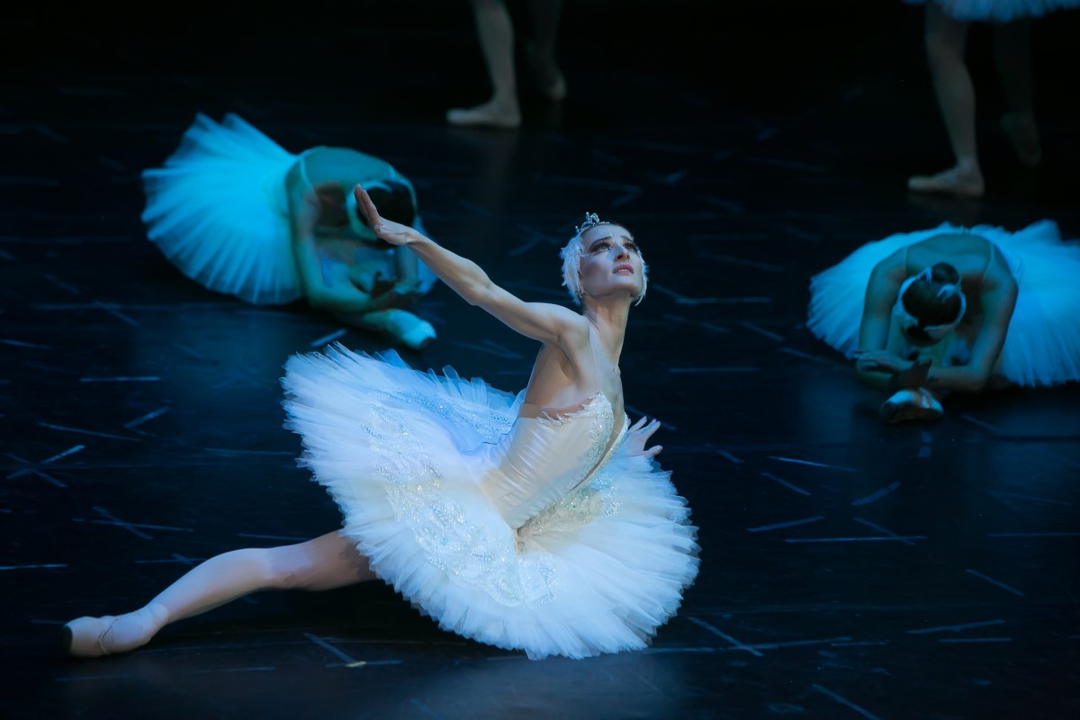 Photo: ЛЕБЕДОВО ЕЗЕРО / SWAN LAKE / Снимки Светослав Николов