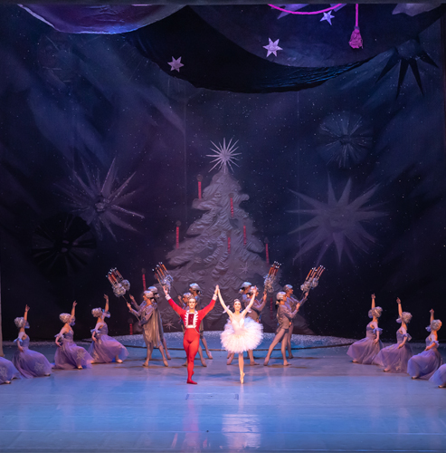 Additional spectacles of "The Nutcracker" in January