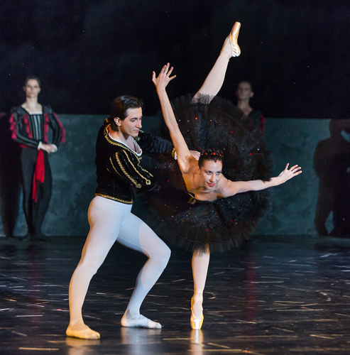 THE SOFIA OPERA AND BALLET WITH AN EXTRA SPECTACLE OF THE BALLET “SWAN LAKE” ON 26 JANUARY