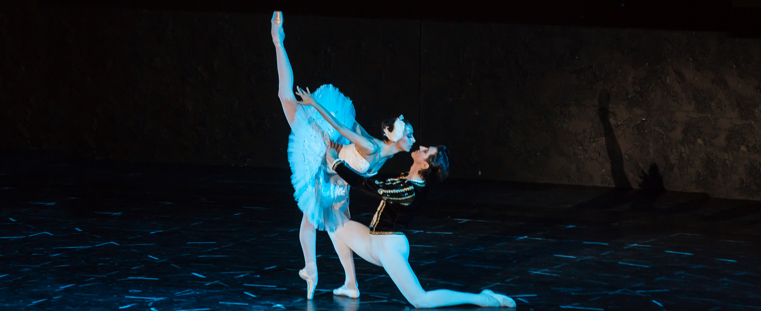 THE SOFIA OPERA AND BALLET WITH AN EXTRA SPECTACLE OF THE BALLET “SWAN LAKE” ON 26 JANUARY
