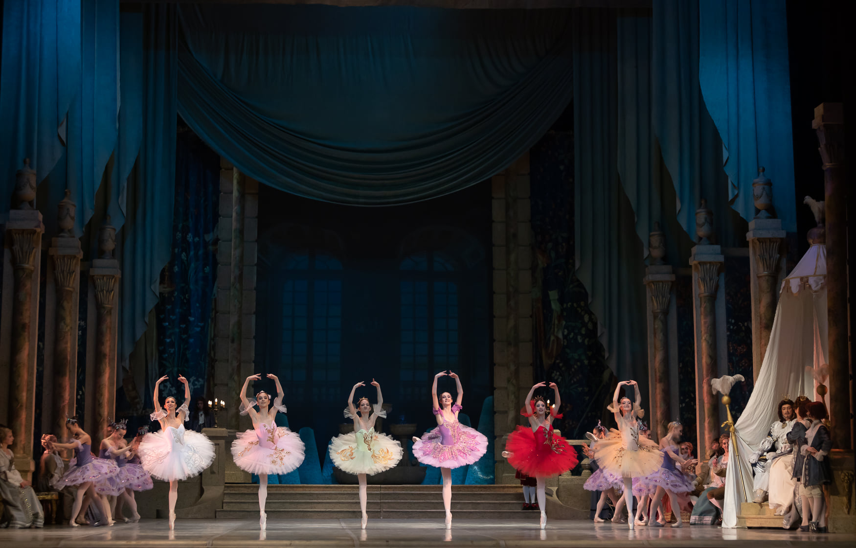 Photo: СПЯЩАТА КРАСАВИЦА