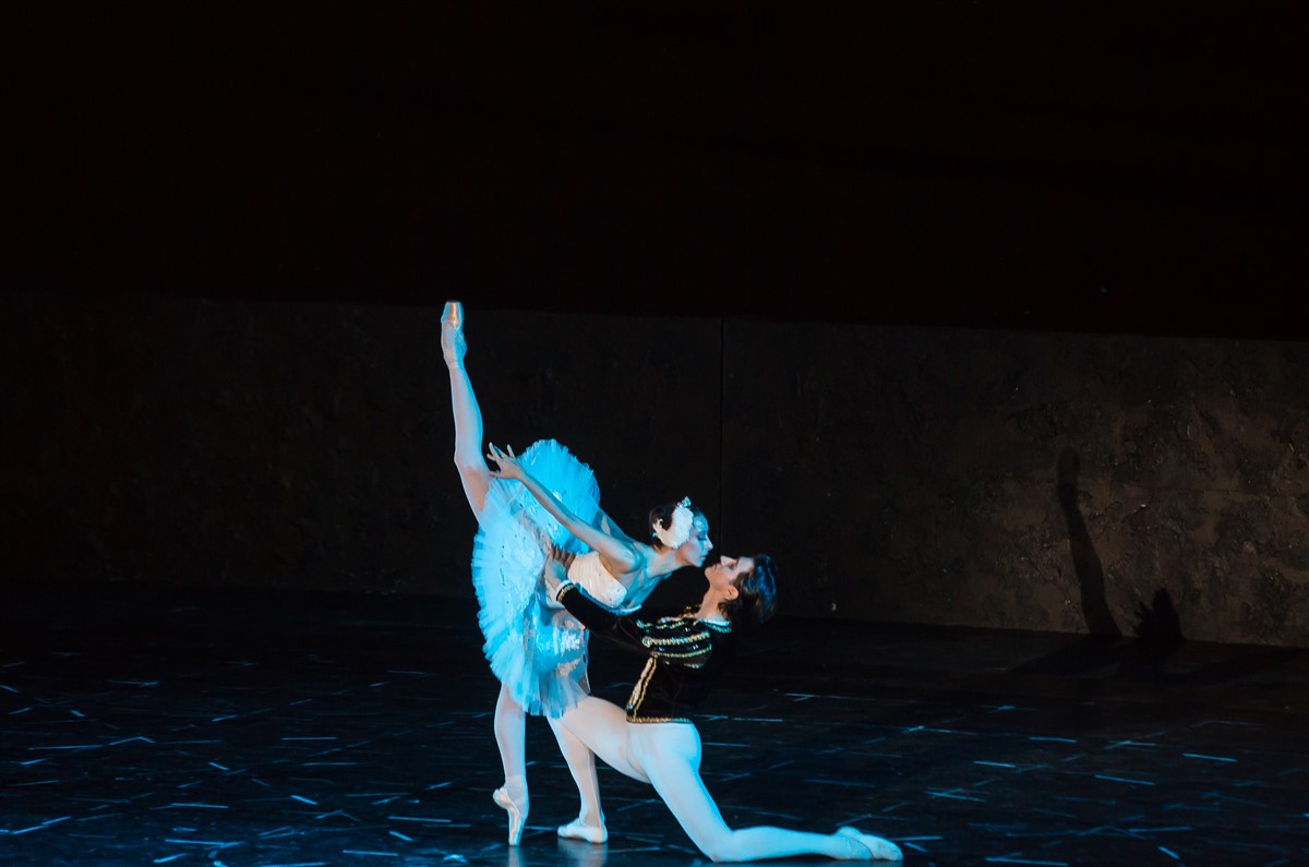 Снимка: Лебедово езеро / Swan Lake