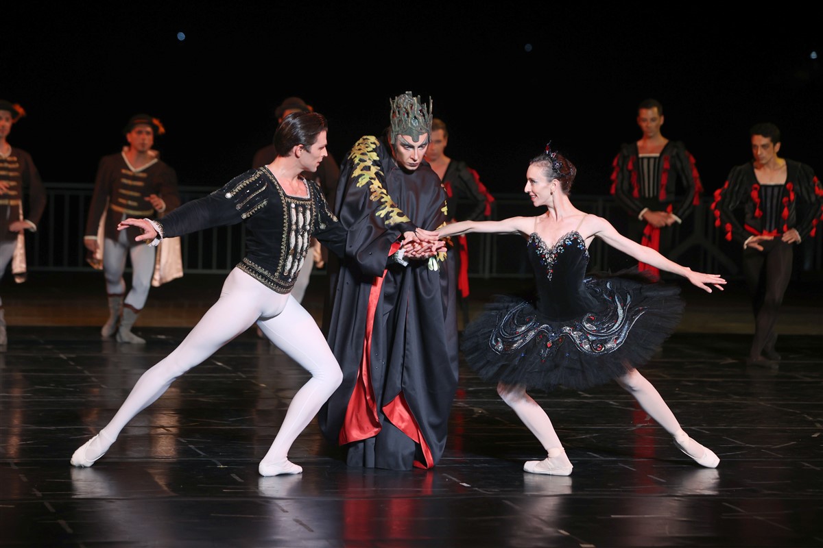 Снимка: Лебедово езеро / Swan Lake