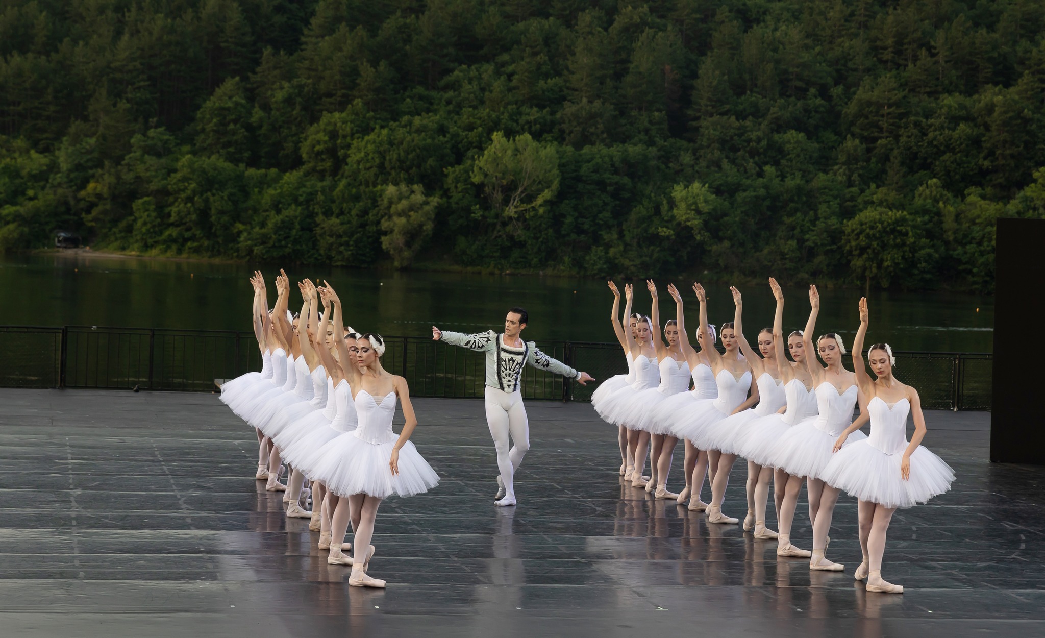 Снимка: Лебедово езеро / Swan Lake