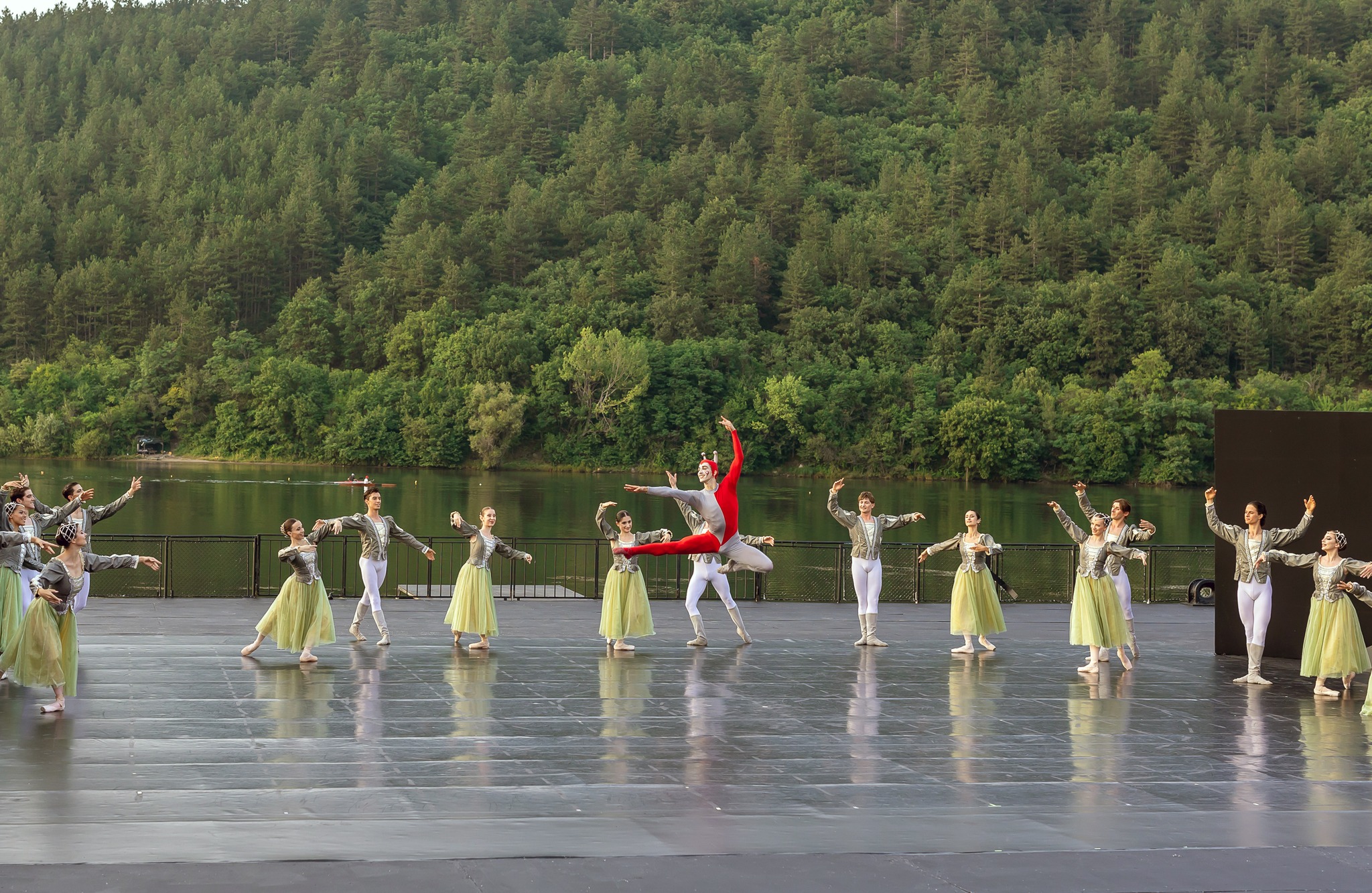 Снимка: Лебедово езеро / Swan Lake