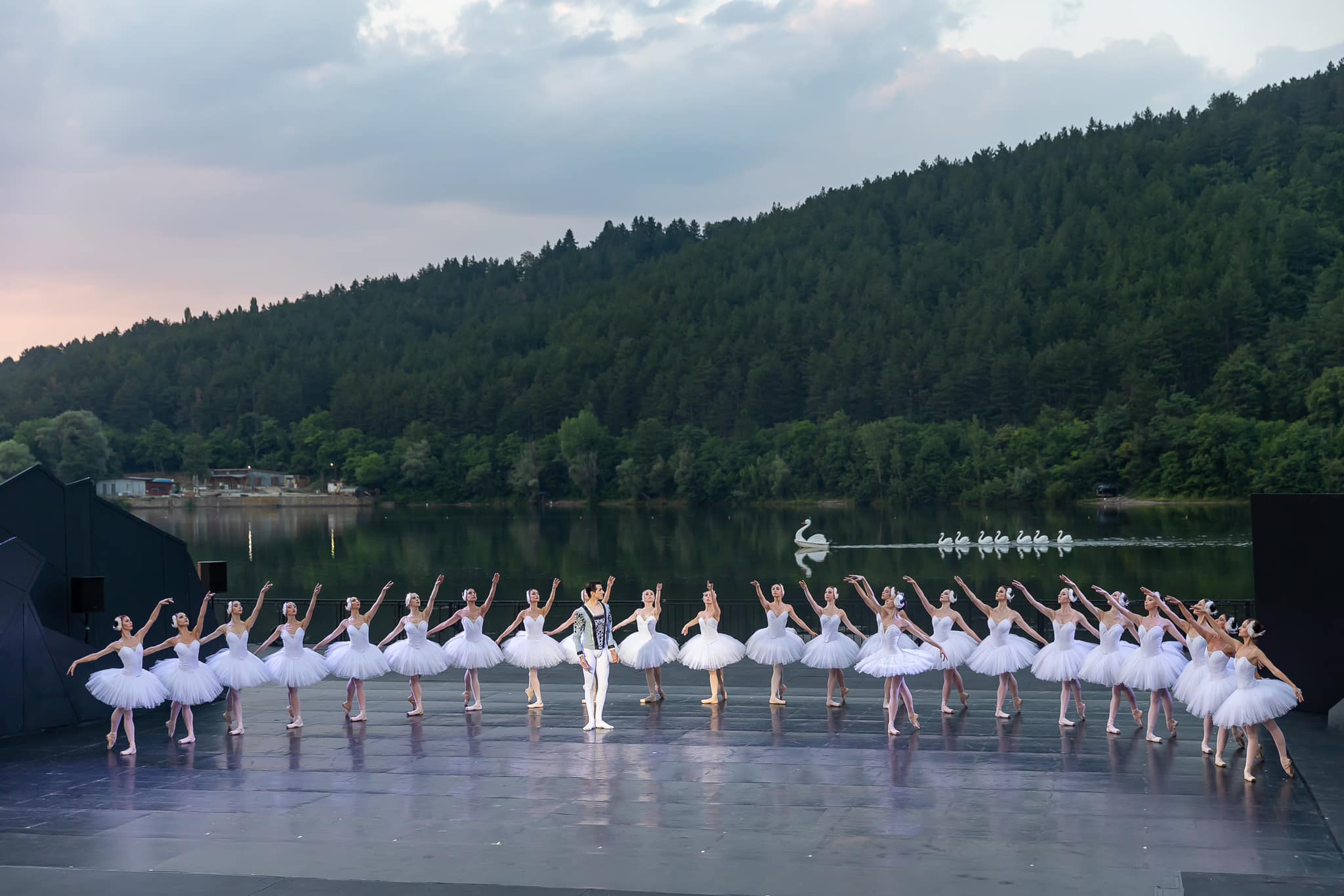 Снимка: Лебедово езеро / Swan Lake