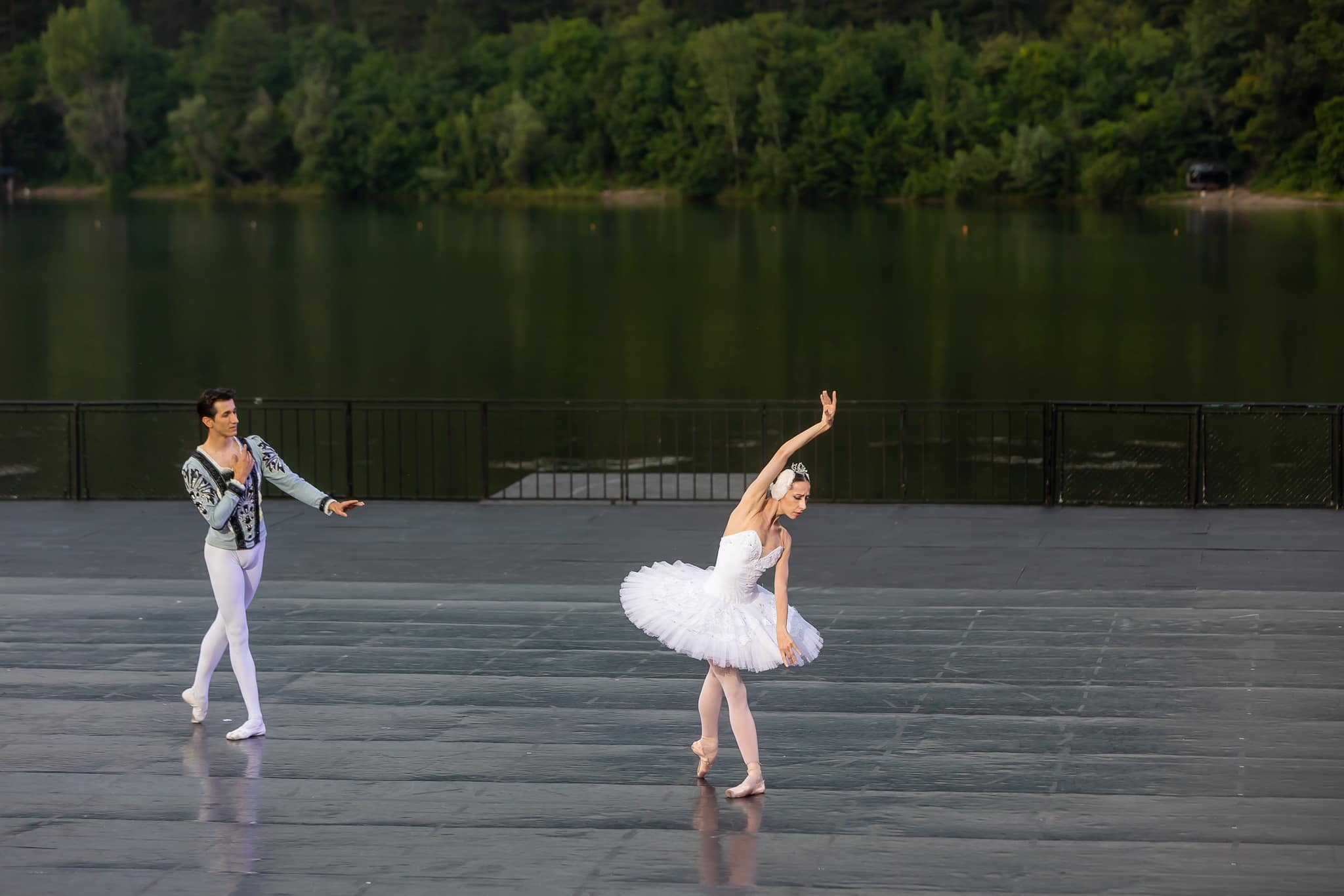 Снимка: Лебедово езеро / Swan Lake