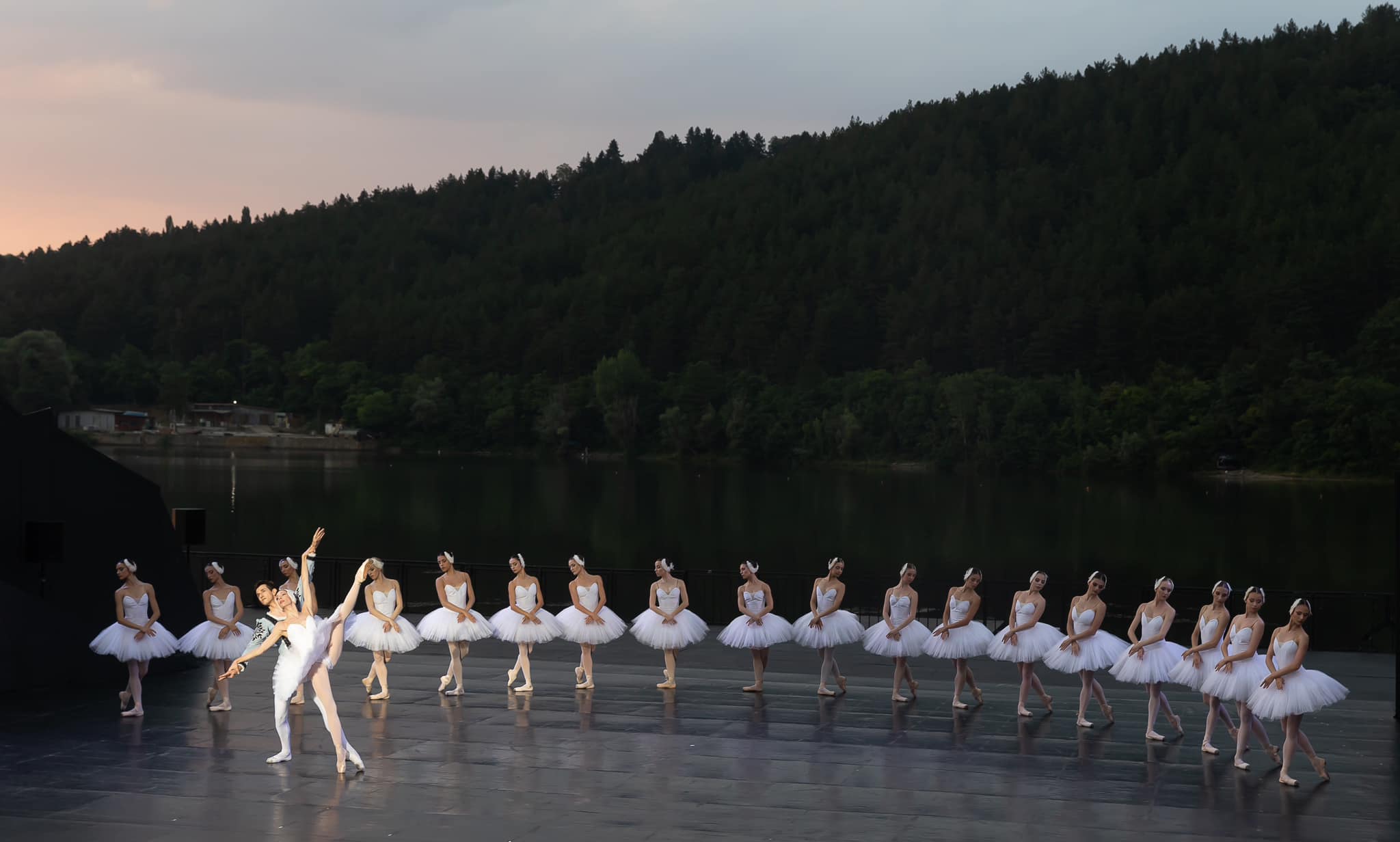 Снимка: Лебедово езеро / Swan Lake