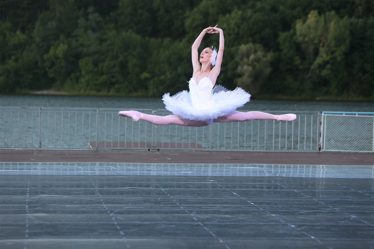 Снимка: Лебедово езеро / Swan Lake