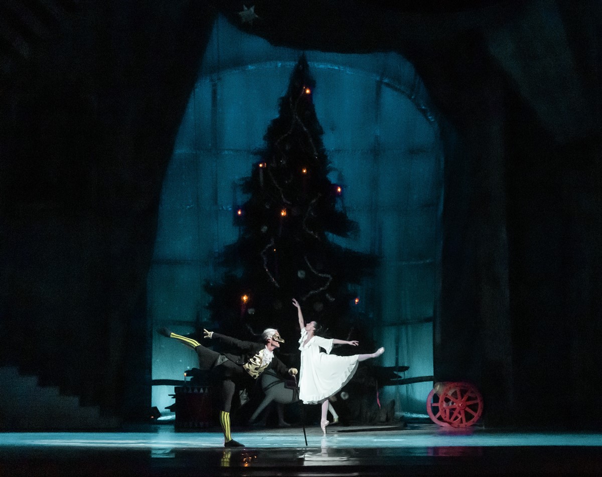 Снимка: ЛЕШНИКОТРОШАЧКАТА