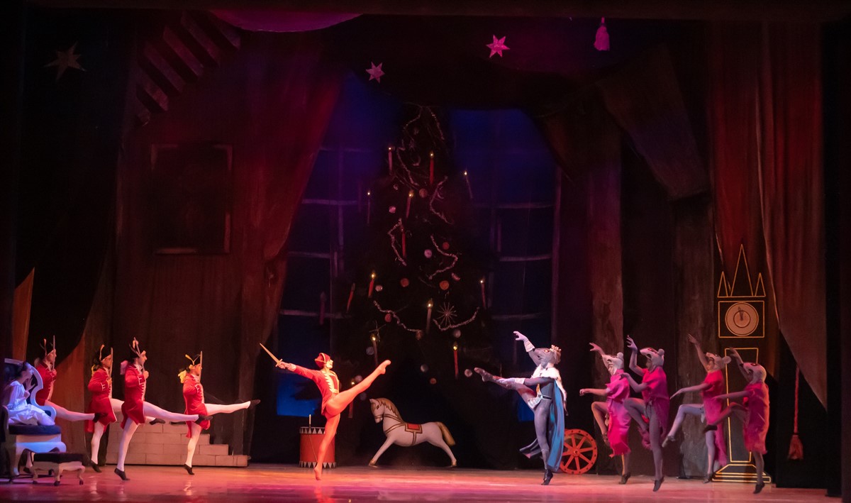 Снимка: ЛЕШНИКОТРОШАЧКАТА