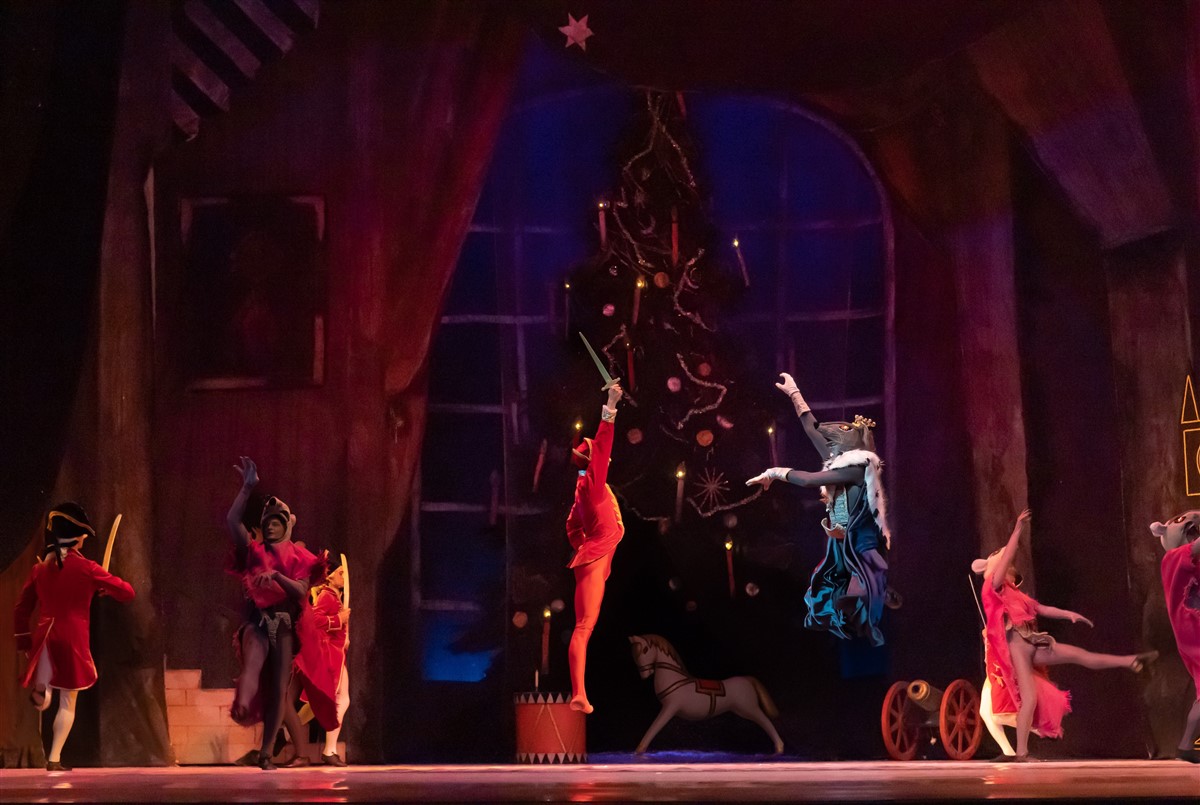 Снимка: ЛЕШНИКОТРОШАЧКАТА