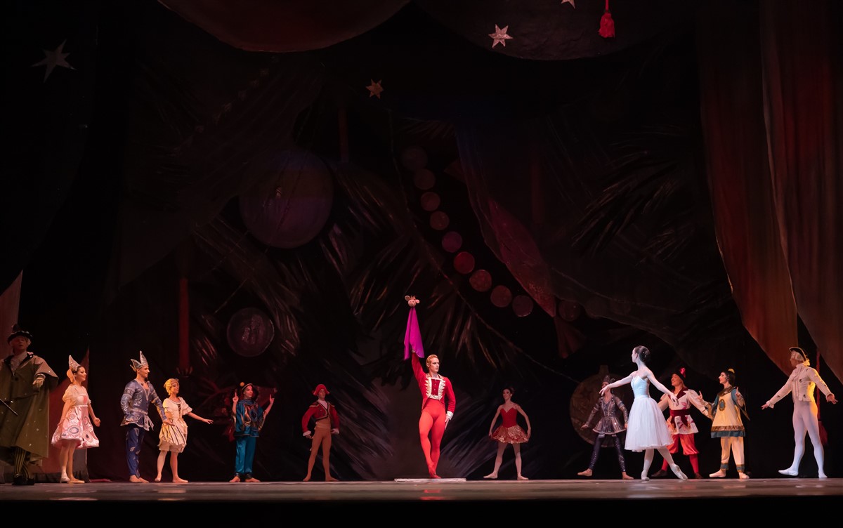 Снимка: ЛЕШНИКОТРОШАЧКАТА