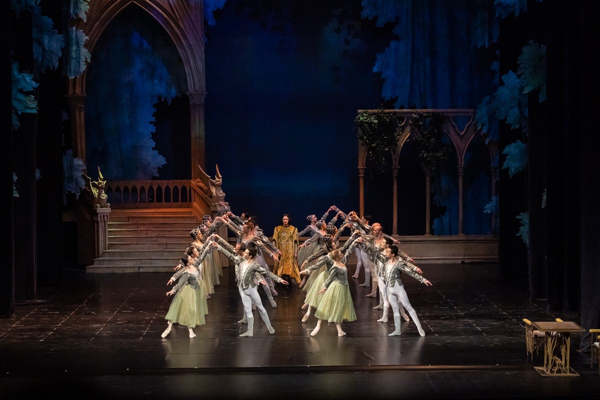 Снимка: ЛЕБЕДОВО ЕЗЕРО / SWAN LAKE