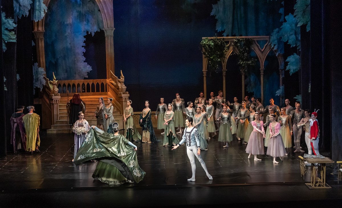 Снимка: ЛЕБЕДОВО ЕЗЕРО / SWAN LAKE