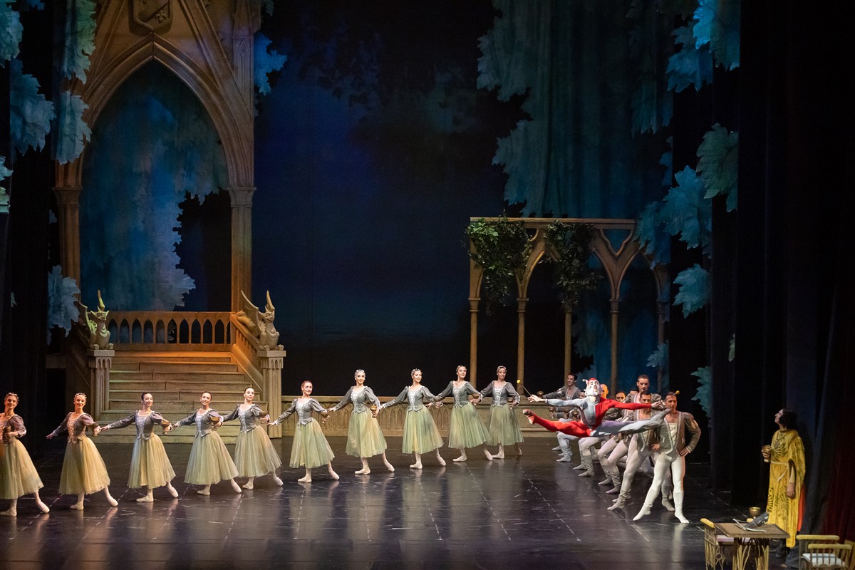 Снимка: ЛЕБЕДОВО ЕЗЕРО / SWAN LAKE