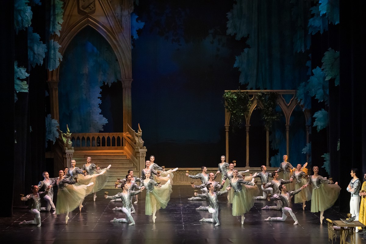Снимка: ЛЕБЕДОВО ЕЗЕРО / SWAN LAKE