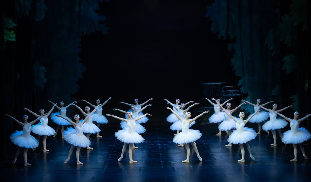 Photo: ЛЕБЕДОВО ЕЗЕРО / SWAN LAKE