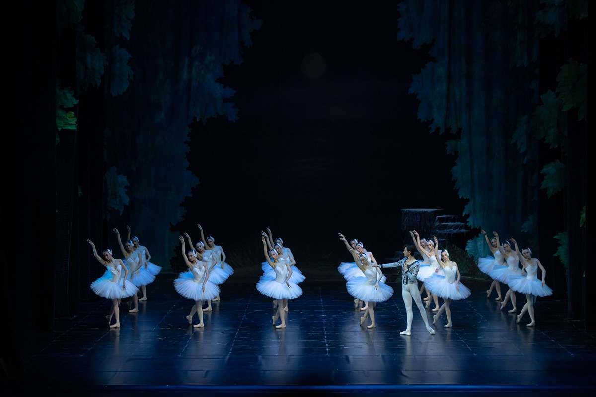 Снимка: ЛЕБЕДОВО ЕЗЕРО / SWAN LAKE