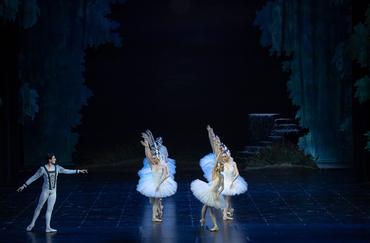 Снимка: ЛЕБЕДОВО ЕЗЕРО / SWAN LAKE