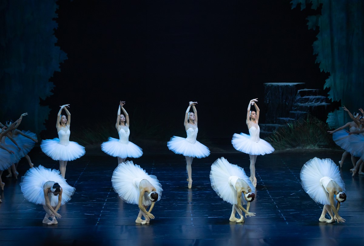 Снимка: ЛЕБЕДОВО ЕЗЕРО / SWAN LAKE