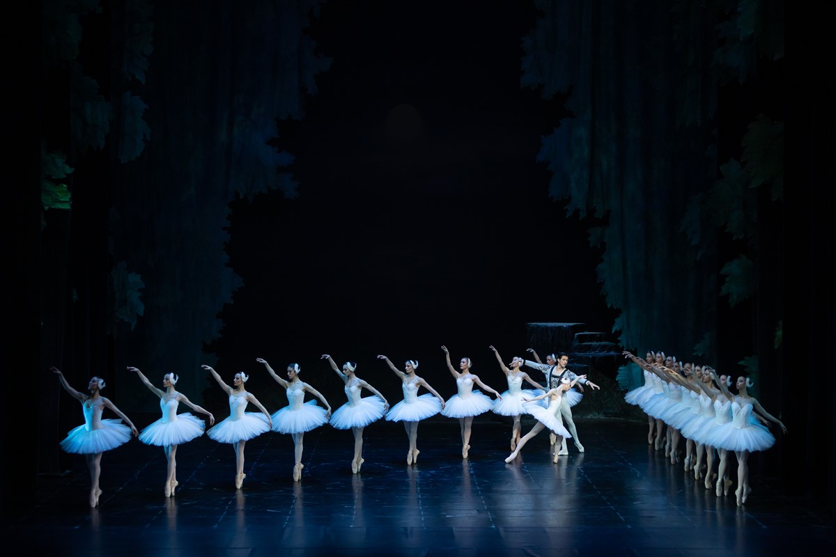 Снимка: ЛЕБЕДОВО ЕЗЕРО / SWAN LAKE