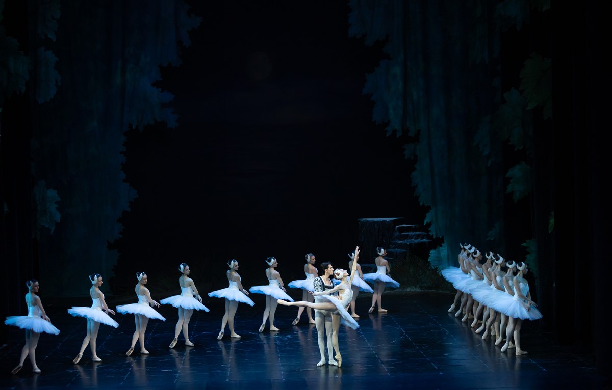 Снимка: ЛЕБЕДОВО ЕЗЕРО / SWAN LAKE