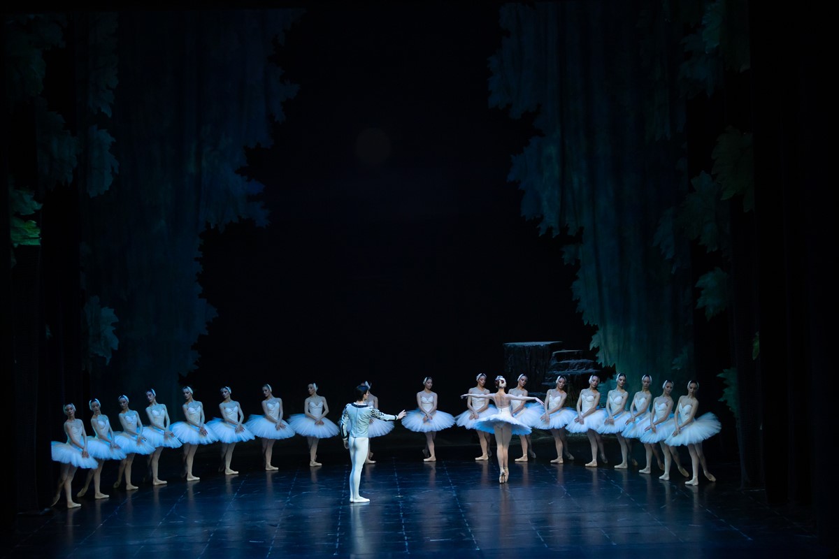 Снимка: ЛЕБЕДОВО ЕЗЕРО / SWAN LAKE