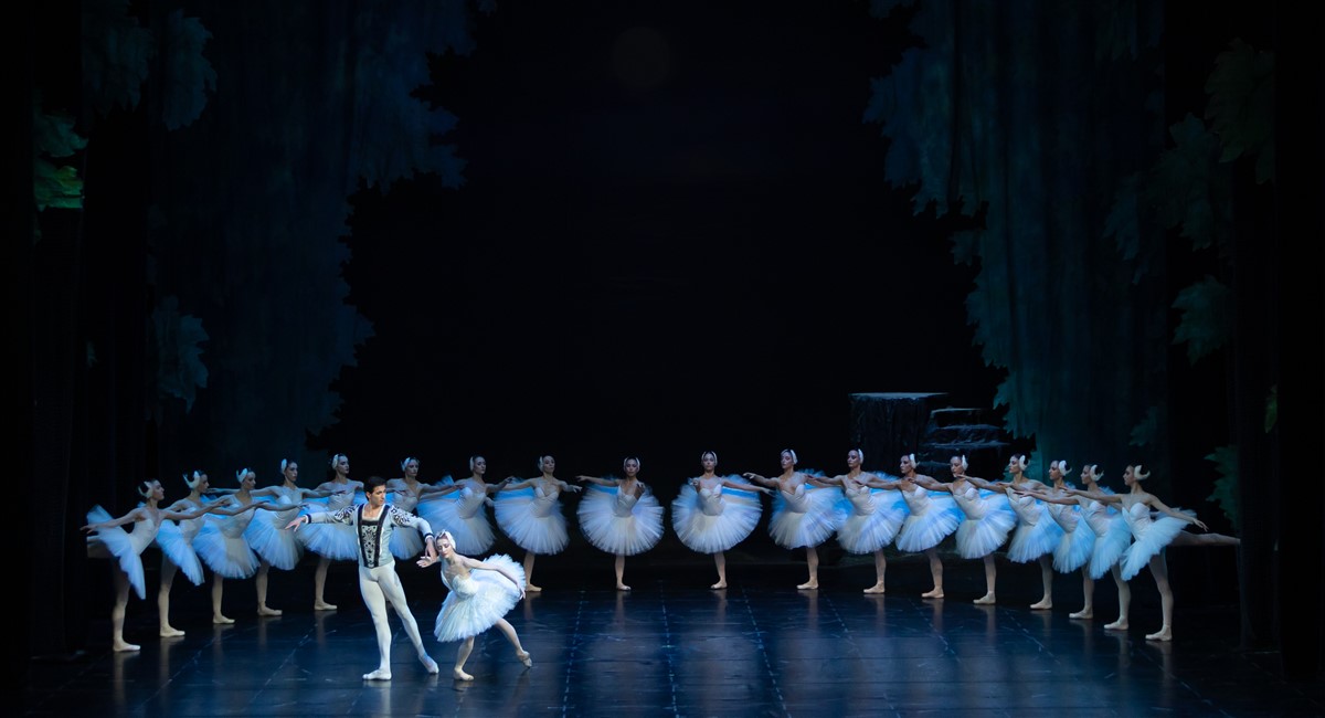 Photo: ЛЕБЕДОВО ЕЗЕРО / SWAN LAKE