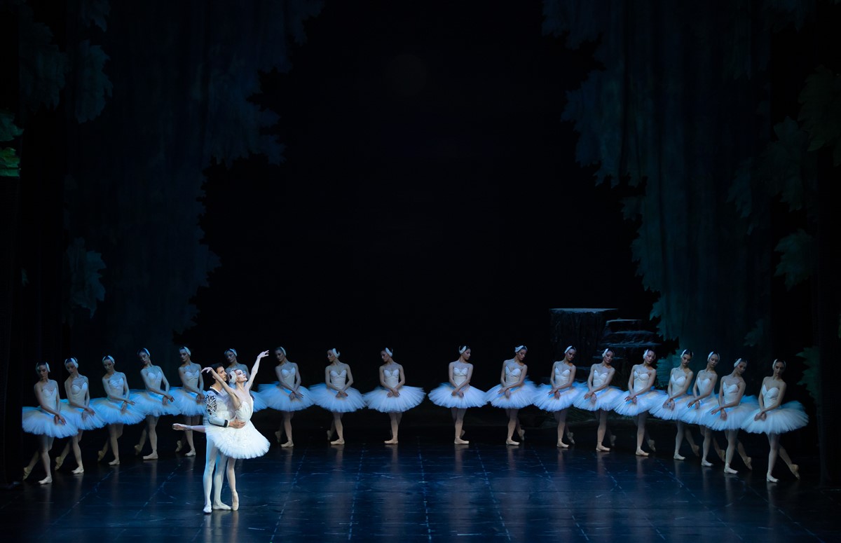 Снимка: ЛЕБЕДОВО ЕЗЕРО / SWAN LAKE