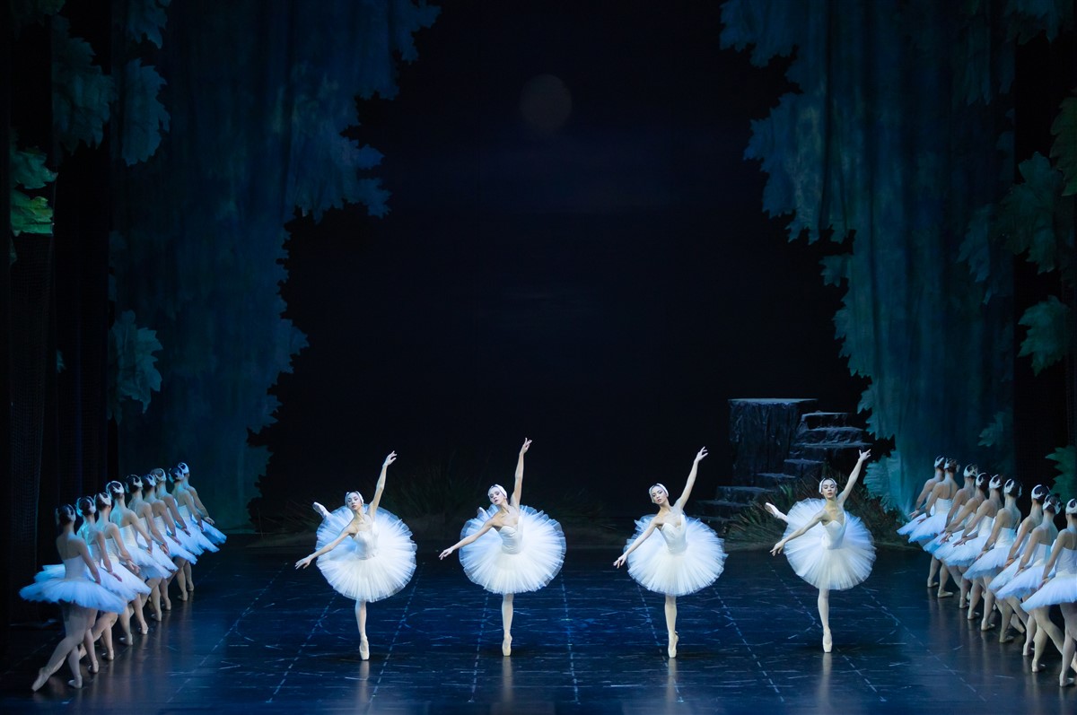 Снимка: ЛЕБЕДОВО ЕЗЕРО / SWAN LAKE