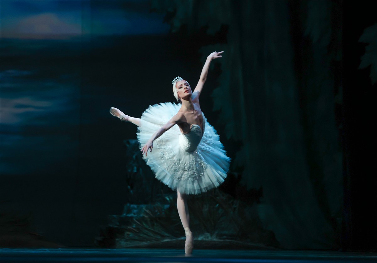 Снимка: ЛЕБЕДОВО ЕЗЕРО / SWAN LAKE