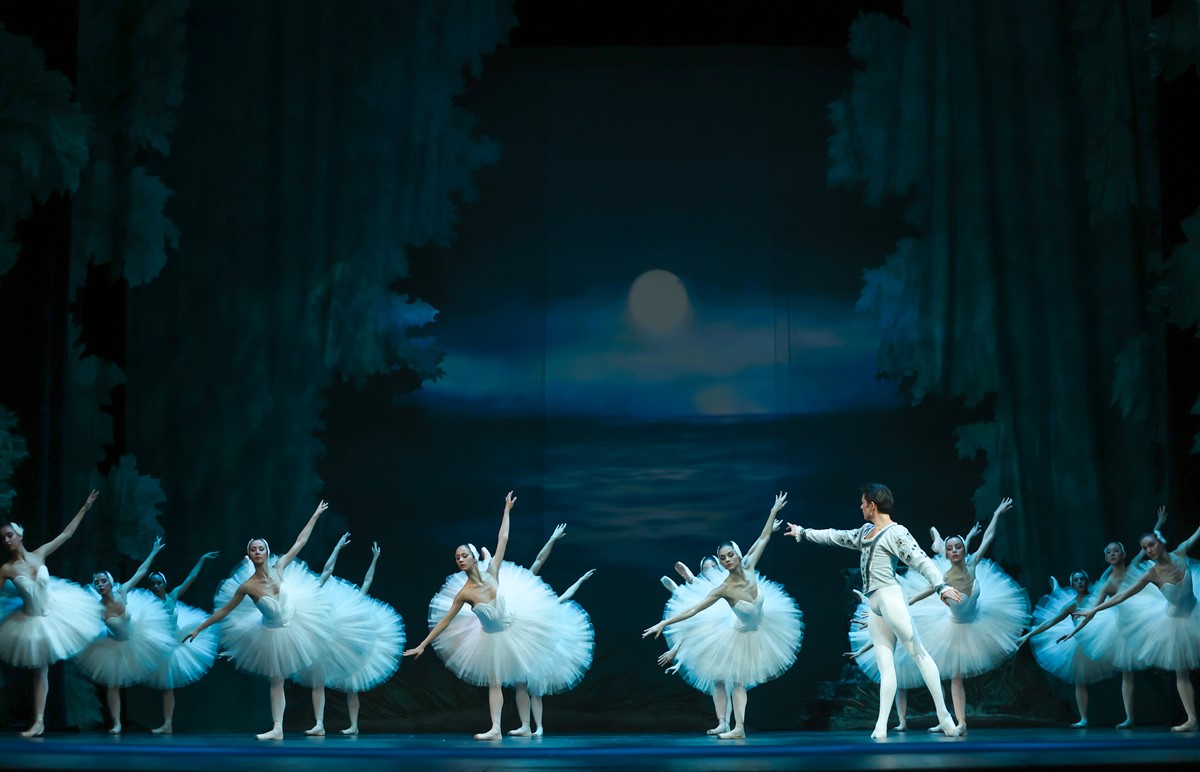 Снимка: ЛЕБЕДОВО ЕЗЕРО / SWAN LAKE